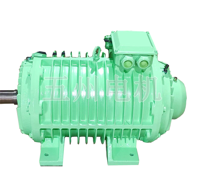 輥道電機(jī)-2.jpg